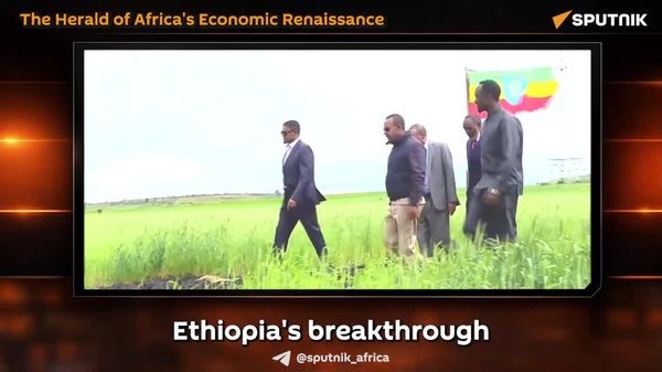 Ethiopia Leads Africa's Economic Renaissance - Sputnik Africa