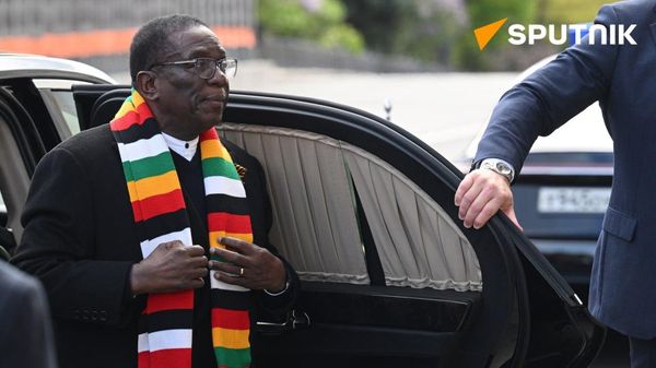 Zimbabwe Senate Passes Bill to Extend Presidential Term to Seven Years - Sputnik Africa