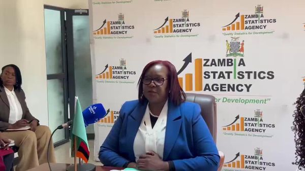 Zambia Records Lowest Inflation Rate in Eight Years: Statistician-General - Sputnik Africa