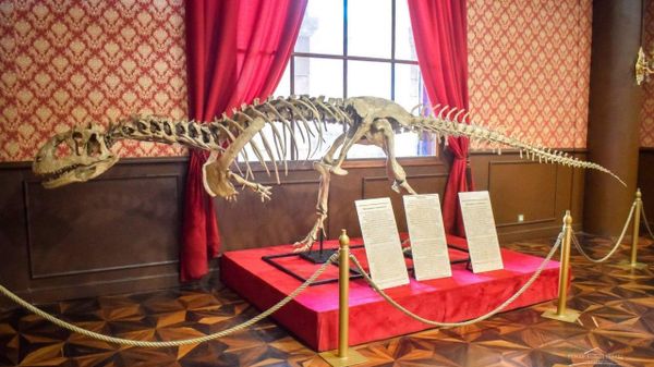 Patrimoine scientifique: le dinosaure Majungasaurus trouve sa nouvelle demeure au parc botanique d’Antananarivo - Sputnik Afrique