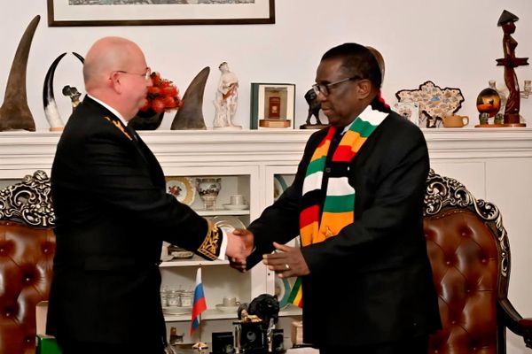 Zimbabwe & Russia Must Strengthen Ties in Economic Cooperation, Says Mnangagwa - Sputnik Africa
