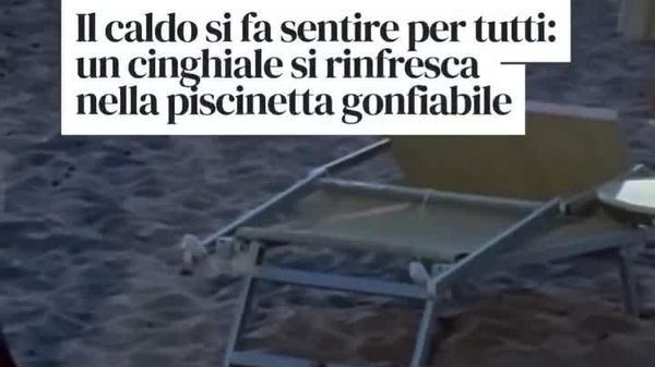Italy Melting as Wave of Abnormal Heat Engulfs the Country - Sputnik Africa