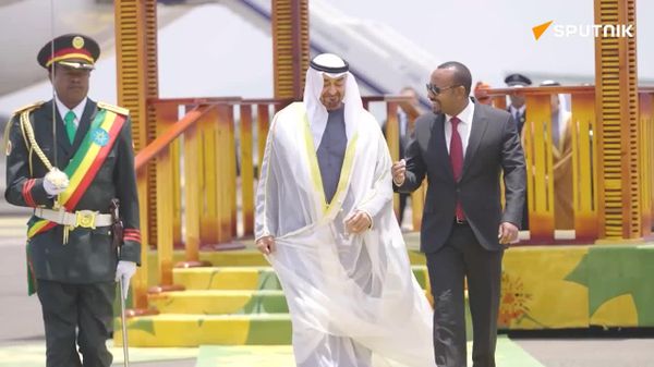Ethiopia Seeks UAE Port Partnership to Address Landlocked Challenges - Sputnik Africa
