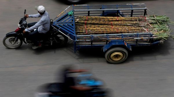 El Niño Climate Phenomenon Could Threaten Sugarcane Harvest, Driving Global Prices Higher: Expert - Sputnik Africa