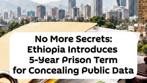 Ethiopia Passes Law Criminalizing Data Concealment - Sputnik Africa