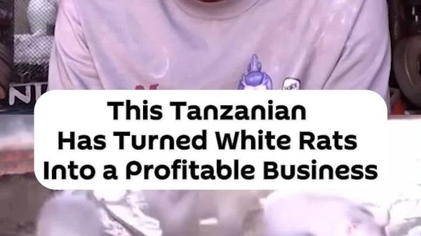 Tanzanian Entrepreneur Builds Business Around White Rats - Sputnik Africa