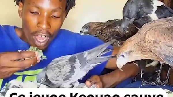 Un Kényan sauve des oiseaux sauvages depuis des années - Sputnik Afrique