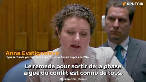 Il faut régler les causes du conflit au Soudan, pas les conséquences - la Russie au Conseil de sécurité de l'Onu - Sputnik Afrique