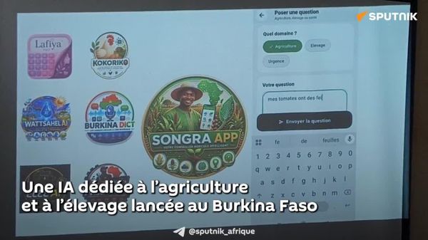 Une IA dédiée à l’agriculture et à l’élevage lancée au Burkina Faso - Sputnik Afrique
