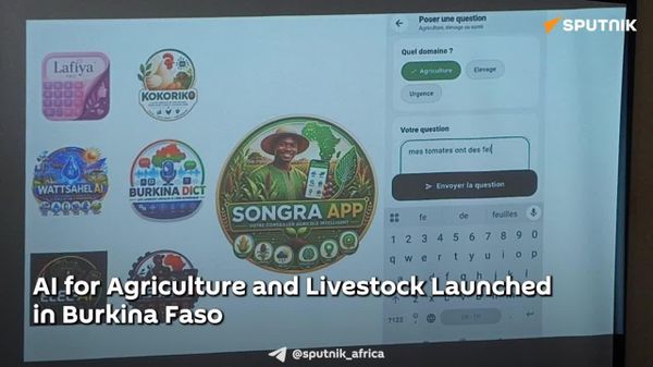AI for Agriculture and Livestock Launched in Burkina Faso: Media - Sputnik Africa