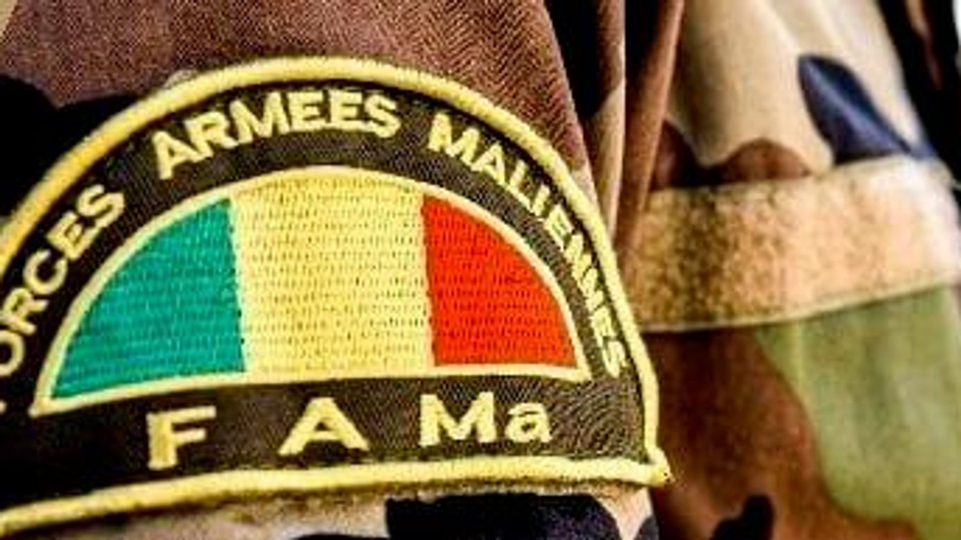 Les FAMa déclarent avoir neutralisé plusieurs éléments terroristes au centre du Mali Les FAMa déclarent avoir neutralisé plusieurs éléments terroristes au centre du Mali - Sputnik Afrique, 1920, 28.06.2026