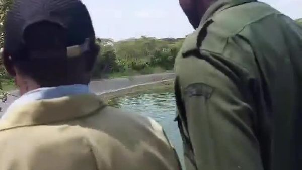 Dramatic Rescue: Vet Team Jumps Into Water to Save Snared Waterbuck - Sputnik Africa