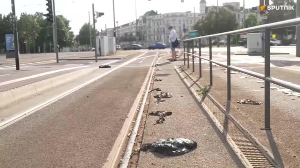 Record 41C Heatwave Melts Streets in Germany - Sputnik Africa