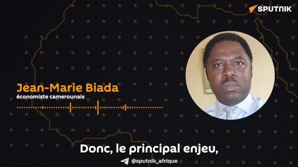 Blé au Cameroun: la production locale doit suppléer les importations, selon un économiste - Sputnik Afrique