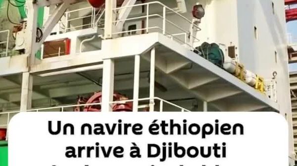 Un navire éthiopien quitte la zone de tension du détroit d’Ormuz et jette l'ancre à Djibouti - Sputnik Afrique