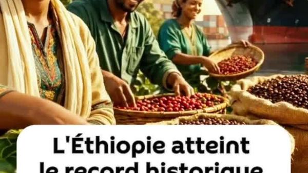 L'Éthiopie pulvérise son record d'exportations de café - Sputnik Afrique