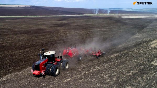 Russian Wheat Exports to Tanzania Surge 16% to Record 850,000 Tonnes in 2025/26 Season: Agroexport - Sputnik Africa