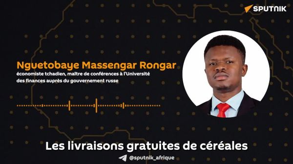 La Russie propose une relation économique fondée sur le respect mutuel et des intérêts partagés - un économiste tchadien - Sputnik Afrique