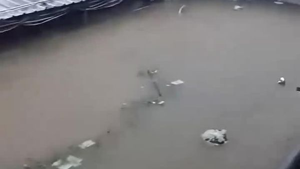 Massive Floods Submerge Entire Pig Farms in Southern China - Sputnik Africa