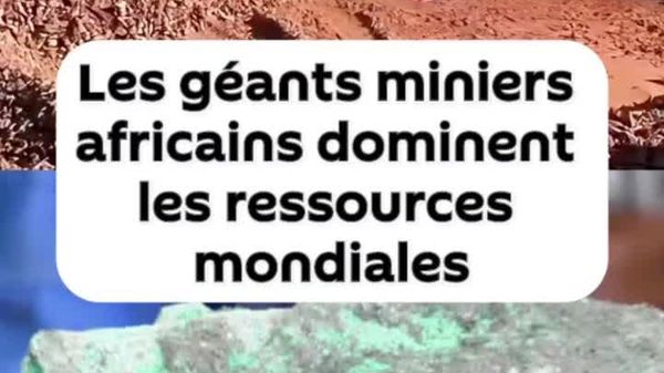 Les richesses minérales de l'Afrique façonnent le commerce et les investissements de demain - Sputnik Afrique