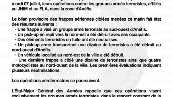 L'armée malienne et ses partenaires ont continué les opérations contre les djihadistes dans la zone d'Anéfis - Sputnik Afrique