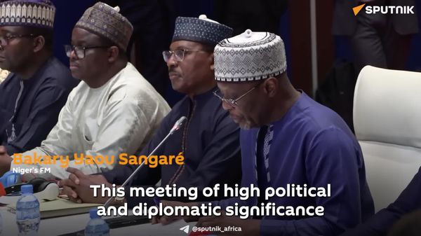 'This Meeting is Perfect Expression of Our Will to Work Toward New World Order': Niger's FM - Sputnik Africa