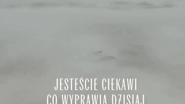 Pologne: 12°C, vent force 8 et pourtant - Sputnik Afrique