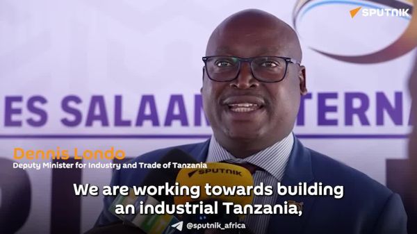 Russian Partnership Key to Tanzania’s Vision 2050 Roadmap Implementation: Deputy Trade Minister - Sputnik Africa