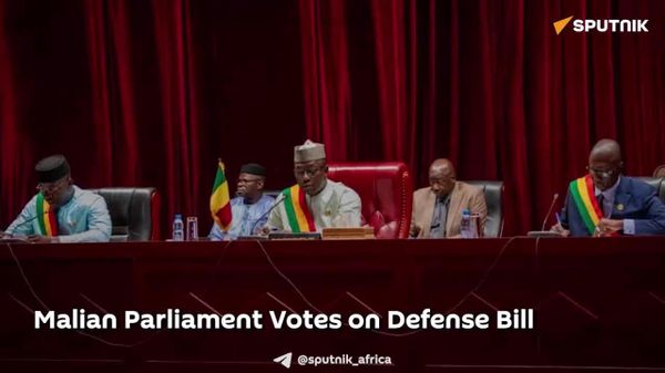 Mali Passes New Defense Law to Strengthen Unified Command & Security - Sputnik Africa
