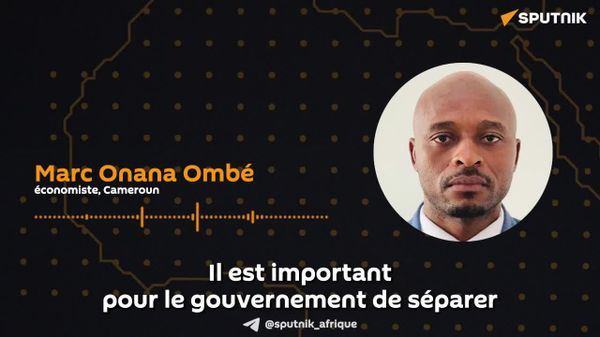 Comment concilier la souveraineté et la rentabilité de l'État camerounais? Avis d'un expert - Sputnik Afrique