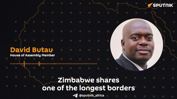 Beira Corridor Can Drive Zimbabwe-Mozambique Integration, Says Zimbabwean MP - Sputnik Africa