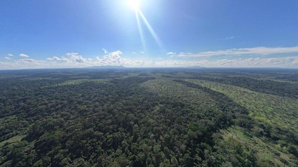 Cameroon Allocates $25 Million to Restore 10,000 Hectares of Degraded Land and Ecosystems - Sputnik Africa