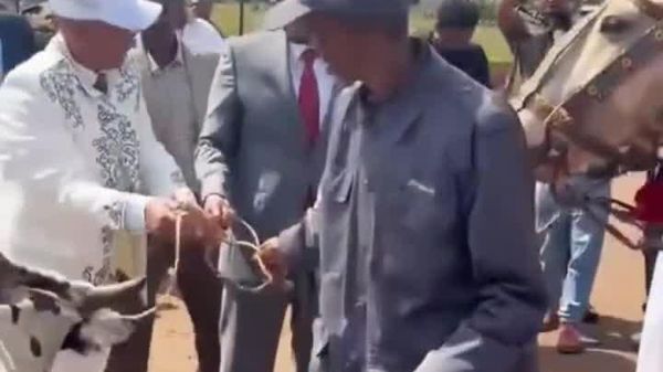 Traditional Welcome: Ethiopian PM Receives Livestock Gifts at Debre Markos Airport Opening - Sputnik Africa