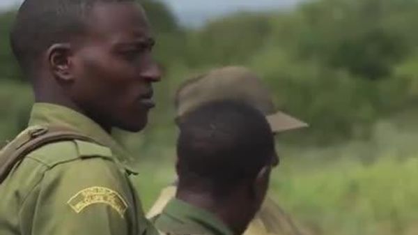 Second Chance at Life: Wounded Elephant Rescued by Kenyan Team - Sputnik Africa