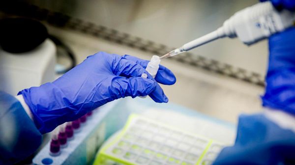Nigeria Increases Financial Assistance for Cancer Patients Through Targeted Health Programs: Media - Sputnik Africa