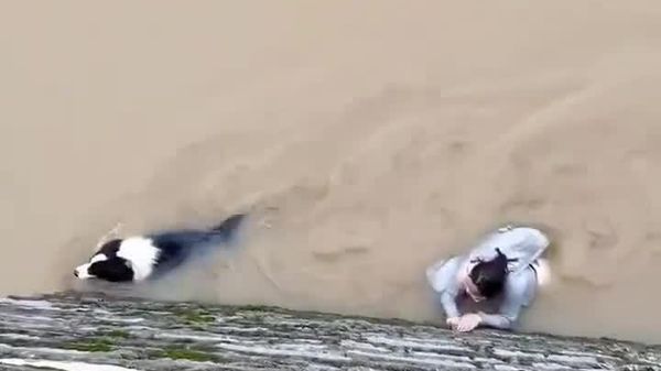 Une Chinoise refuse d'abandonner son chien lors d'une inondation - Sputnik Afrique