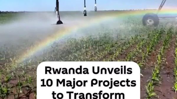 Rwanda Unveils 10 Major Projects to Transform Agriculture - Sputnik Africa