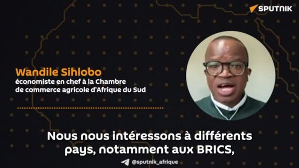Le commerce agricole des BRICS peut renforcer la sécurité alimentaire en Afrique, selon un expert sud-africain - Sputnik Afrique