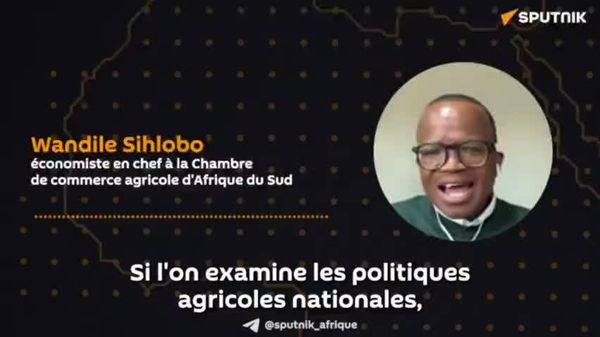 L'Afrique a tous les atouts pour cesser d'importer ses denrées alimentaires, estime un économiste sud-africain - Sputnik Afrique