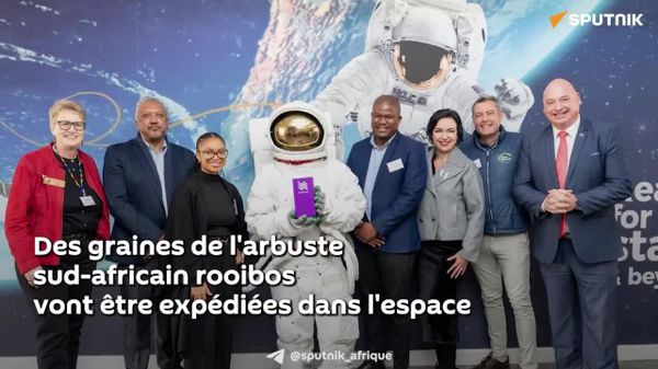 Des graines de rooibos sud-africain vont voyager dans l’espace - Sputnik Afrique