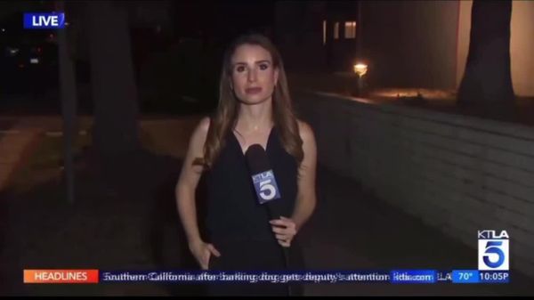 Unfazed on Air: US News Anchor Ignores Cockroach During Live Broadcast - Sputnik Africa