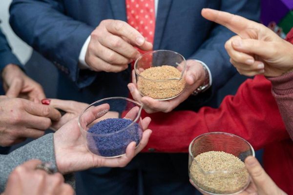 South Africa to Launch Rooibos Seeds to ISS for Space Agriculture Research: Space Agency - Sputnik Africa