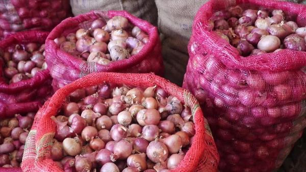 AI-Powered Digital Platform to Transform Onion and Garlic Farming in Tanzania: Researchers - Sputnik Africa