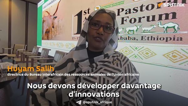 L'élevage en Afrique doit être soutenu par la technologie et l'innovation, selon une responsable - Sputnik Afrique