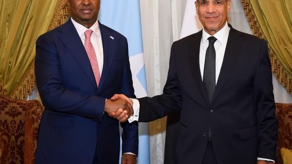 Egyptian FM Holds Talks With Eritrean and Somali Counterparts on Regional Cooperation: MFA - Sputnik Africa