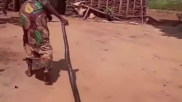 Tanzanian Woman Drags Giant Python Home Like a Naughty Child - Sputnik Africa