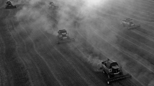 Donner aux communautés des outils pour anticiper et mieux résister aux changements climatiques Donner aux communautés des outils pour anticiper et mieux résister aux changements climatiques - Sputnik Afrique