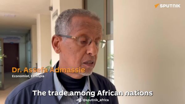 Concrete Infrastructure Upgrades Key to Realizing AfCFTA Benefits: Ethiopian Expert - Sputnik Africa