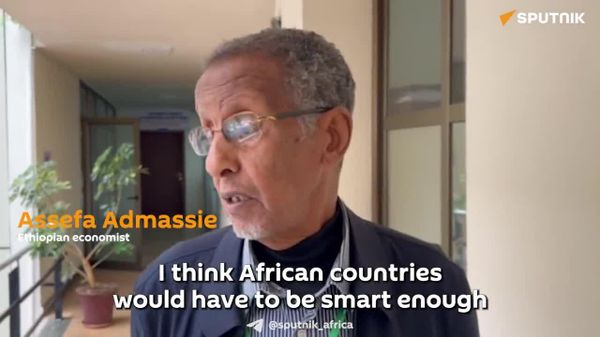 'Africa Needs to Work Hard to Add Value to Natural Resources': Ethiopian Economist - Sputnik Africa