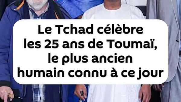 Le Tchad célèbre les 25 ans de la découverte de Toumaï, le plus ancien hominidé connu à ce jour - Sputnik Afrique